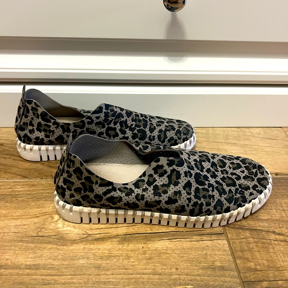 ILSE JACOBSEN TULIP 37 leopard